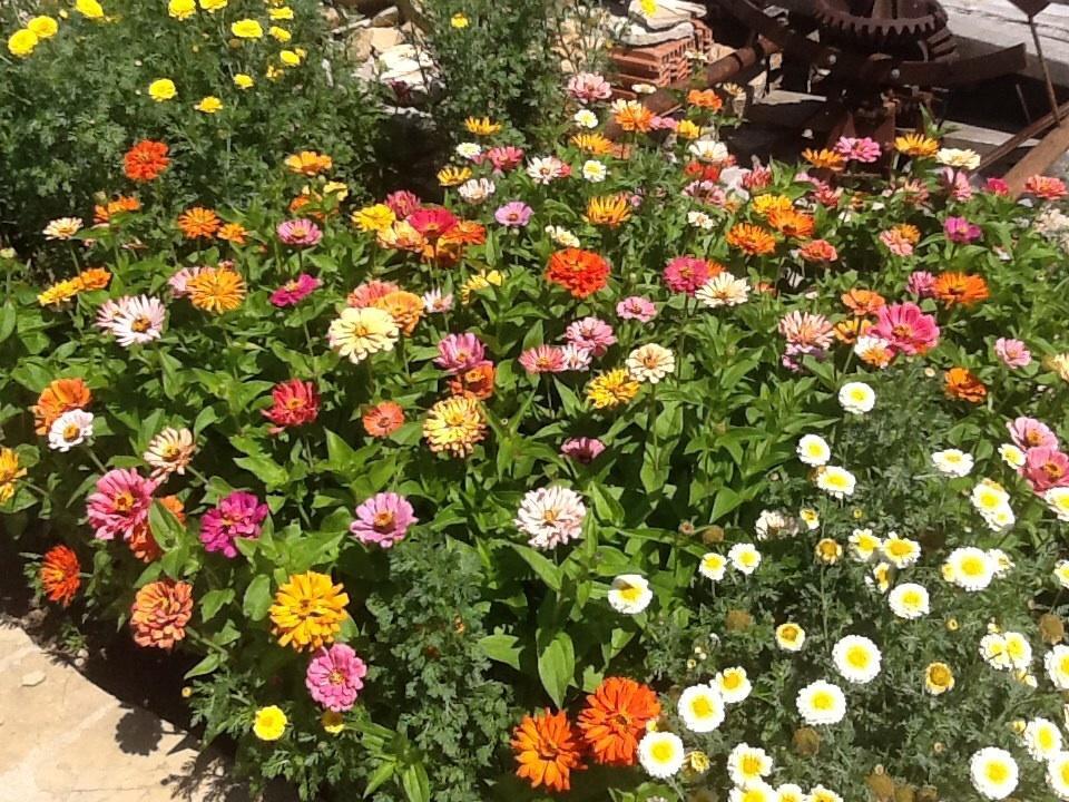 Casa Rural Caseta De L' Hort บีญาฟรังกา เดล ซิด ภายนอก รูปภาพ