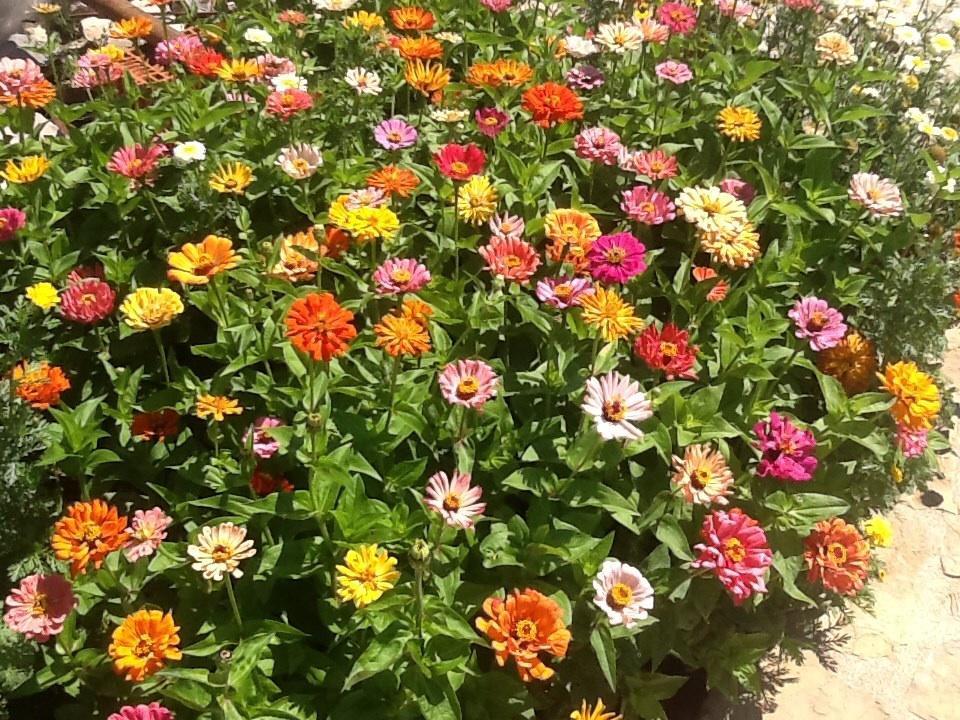 Casa Rural Caseta De L' Hort บีญาฟรังกา เดล ซิด ห้อง รูปภาพ