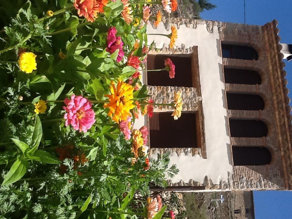 Casa Rural Caseta De L' Hort บีญาฟรังกา เดล ซิด ห้อง รูปภาพ