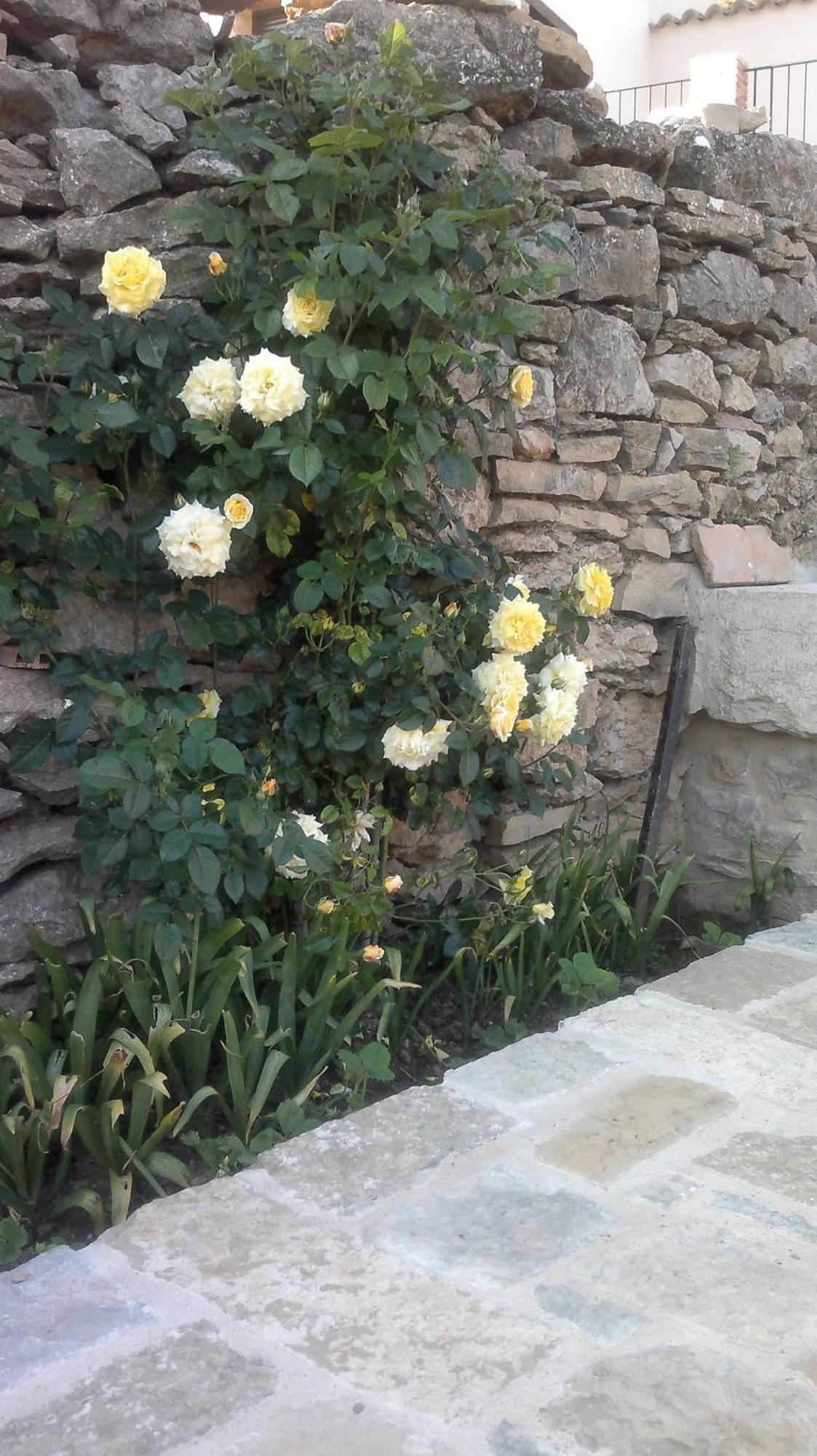 Casa Rural Caseta De L' Hort บีญาฟรังกา เดล ซิด ภายนอก รูปภาพ