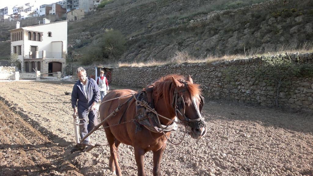 Casa Rural Caseta De L' Hort บีญาฟรังกา เดล ซิด ภายนอก รูปภาพ