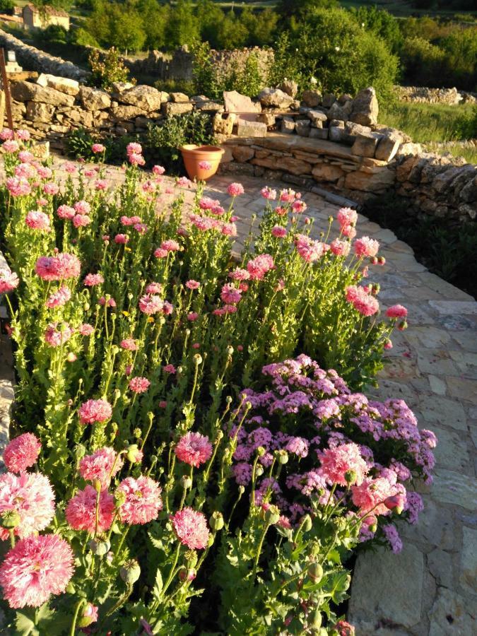 Casa Rural Caseta De L' Hort บีญาฟรังกา เดล ซิด ภายนอก รูปภาพ