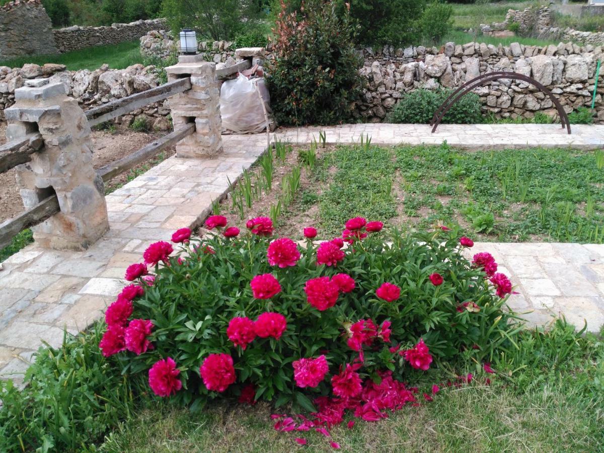 Casa Rural Caseta De L' Hort บีญาฟรังกา เดล ซิด ภายนอก รูปภาพ