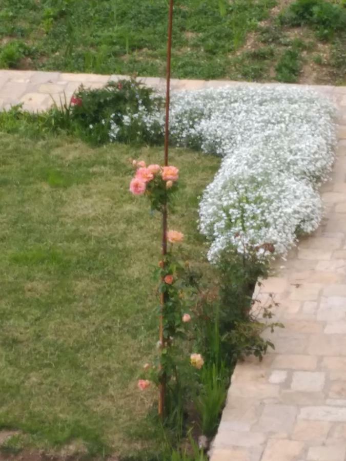 Casa Rural Caseta De L' Hort บีญาฟรังกา เดล ซิด ภายนอก รูปภาพ