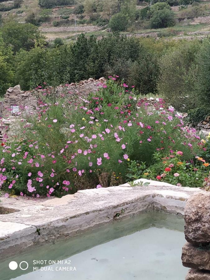 Casa Rural Caseta De L' Hort บีญาฟรังกา เดล ซิด ภายนอก รูปภาพ