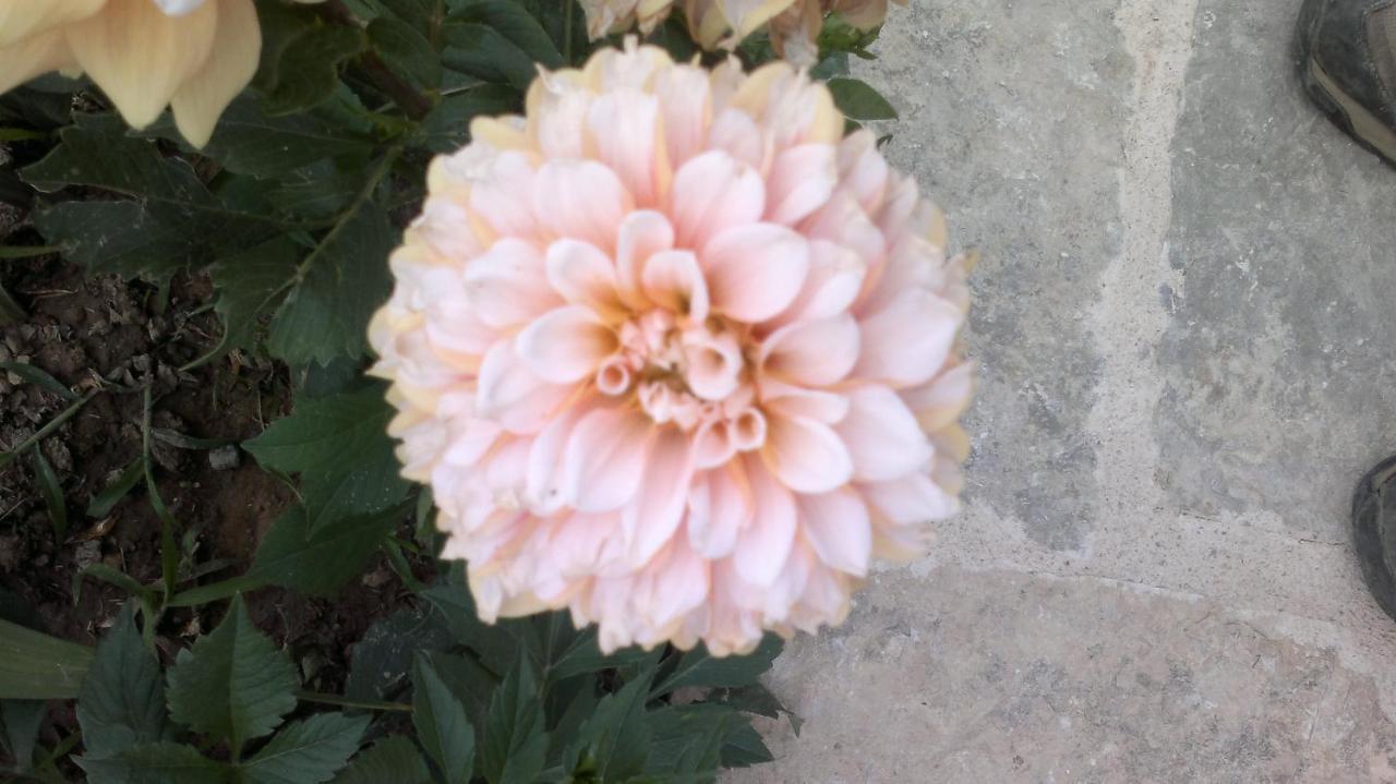Casa Rural Caseta De L' Hort บีญาฟรังกา เดล ซิด ห้อง รูปภาพ